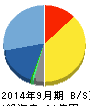 イグニス 貸借対照表 2014年9月期 イグニス 貸借対照表 2014年9月期