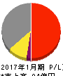 石井表記 損益計算書 2017年1月期 石井表記 損益計算書 2017年1月期