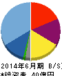 平山ホールディングス 貸借対照表 2014年6月期 平山ホールディングス 貸借対照表 2014年6月期