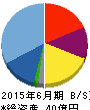 平山ホールディングス 貸借対照表 2015年6月期 平山ホールディングス 貸借対照表 2015年6月期