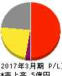 データセクション 損益計算書 2017年3月期 データセクション 損益計算書 2017年3月期