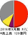 パラカ 損益計算書 2016年9月期 パラカ 損益計算書 2016年9月期