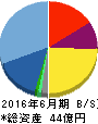 平山ホールディングス 貸借対照表 2016年6月期 平山ホールディングス 貸借対照表 2016年6月期