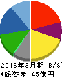 セーラー広告 貸借対照表 2016年3月期 セーラー広告 貸借対照表 2016年3月期