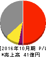 アールエイジ 損益計算書 2016年10月期 アールエイジ 損益計算書 2016年10月期