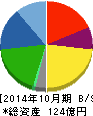 ウイルコホールディングス 貸借対照表 2014年10月期 ウイルコホールディングス 貸借対照表 2014年10月期