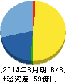 ペプチドリーム 貸借対照表 2014年6月期 ペプチドリーム 貸借対照表 2014年6月期