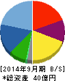 サンワカンパニー 貸借対照表 2014年9月期 サンワカンパニー 貸借対照表 2014年9月期