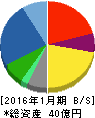ミサワ 貸借対照表 2016年1月期 ミサワ 貸借対照表 2016年1月期