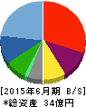 ビューティ花壇 貸借対照表 2015年6月期 ビューティ花壇 貸借対照表 2015年6月期