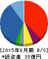 イデアインターナショナル 貸借対照表 2015年6月期 イデアインターナショナル 貸借対照表 2015年6月期