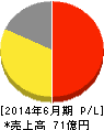 アイスタイル 損益計算書 2014年6月期 アイスタイル 損益計算書 2014年6月期