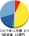ルーデン・ホールディングス 貸借対照表 2015年12月期 ルーデン・ホールディングス 貸借対照表 2015年12月期