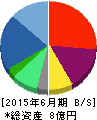 バリューデザイン 貸借対照表 2015年6月期 バリューデザイン 貸借対照表 2015年6月期