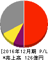 東計電算 損益計算書 2016年12月期 東計電算 損益計算書 2016年12月期