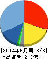 ウェルネット 貸借対照表 2014年6月期 ウェルネット 貸借対照表 2014年6月期