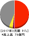 日東化工 損益計算書 2017年3月期 日東化工 損益計算書 2017年3月期