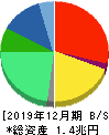 日本ペイントホールディングス 貸借対照表 2019年12月期