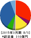杉田エース 貸借対照表 2015年3月期 杉田エース 貸借対照表 2015年3月期