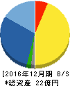 ルーデン・ホールディングス 貸借対照表 2016年12月期 ルーデン・ホールディングス 貸借対照表 2016年12月期