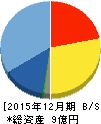 ピクスタ 貸借対照表 2015年12月期 ピクスタ 貸借対照表 2015年12月期