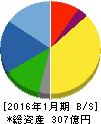 シーイーシー 貸借対照表 2016年1月期 シーイーシー 貸借対照表 2016年1月期