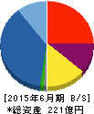 THEグローバル社 貸借対照表 2015年6月期 THEグローバル社 貸借対照表 2015年6月期
