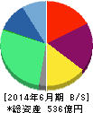 テクノプロ・ホールディングス 貸借対照表 2014年6月期 テクノプロ・ホールディングス 貸借対照表 2014年6月期