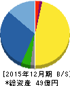 カイオム・バイオサイエンス 貸借対照表 2015年12月期 カイオム・バイオサイエンス 貸借対照表 2015年12月期