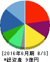 バリューデザイン 貸借対照表 2016年6月期 バリューデザイン 貸借対照表 2016年6月期