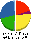 ASTI 貸借対照表 2014年3月期 ASTI 貸借対照表 2014年3月期