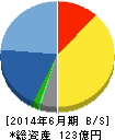 CIJ 貸借対照表 2014年6月期 CIJ 貸借対照表 2014年6月期