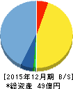 シンバイオ製薬 貸借対照表 2015年12月期 シンバイオ製薬 貸借対照表 2015年12月期