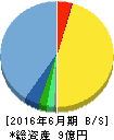 サイジニア 貸借対照表 2016年6月期 サイジニア 貸借対照表 2016年6月期