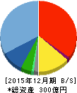 電算システム 貸借対照表 2015年12月期 電算システム 貸借対照表 2015年12月期