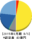 総医研ホールディングス 貸借対照表 2015年6月期 総医研ホールディングス 貸借対照表 2015年6月期