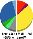 テクノアルファ 貸借対照表 2014年11月期 テクノアルファ 貸借対照表 2014年11月期