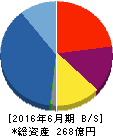 THEグローバル社 貸借対照表 2016年6月期 THEグローバル社 貸借対照表 2016年6月期