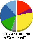 OSGコーポレーション 貸借対照表 2017年1月期 OSGコーポレーション 貸借対照表 2017年1月期