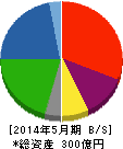 テーオー小笠原 貸借対照表 2014年5月期 テーオー小笠原 貸借対照表 2014年5月期