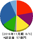 川口化学工業 貸借対照表 2016年11月期 川口化学工業 貸借対照表 2016年11月期