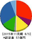 川口化学工業 貸借対照表 2015年11月期 川口化学工業 貸借対照表 2015年11月期
