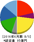 大日本コンサルタント 貸借対照表 2016年6月期 大日本コンサルタント 貸借対照表 2016年6月期