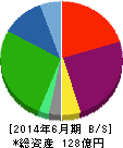 トラストホールディングス 貸借対照表 2014年6月期 トラストホールディングス 貸借対照表 2014年6月期