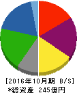 トップカルチャー 貸借対照表 2016年10月期 トップカルチャー 貸借対照表 2016年10月期