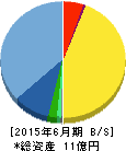 サイジニア 貸借対照表 2015年6月期 サイジニア 貸借対照表 2015年6月期