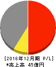 デジタルアドベンチャー 損益計算書 2016年12月期 デジタルアドベンチャー 損益計算書 2016年12月期