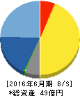 総医研ホールディングス 貸借対照表 2016年6月期 総医研ホールディングス 貸借対照表 2016年6月期