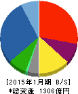 丸善CHIホールディングス 貸借対照表 2015年1月期 丸善CHIホールディングス 貸借対照表 2015年1月期