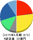 ディー・エル・イー 貸借対照表 2015年6月期 ディー・エル・イー 貸借対照表 2015年6月期